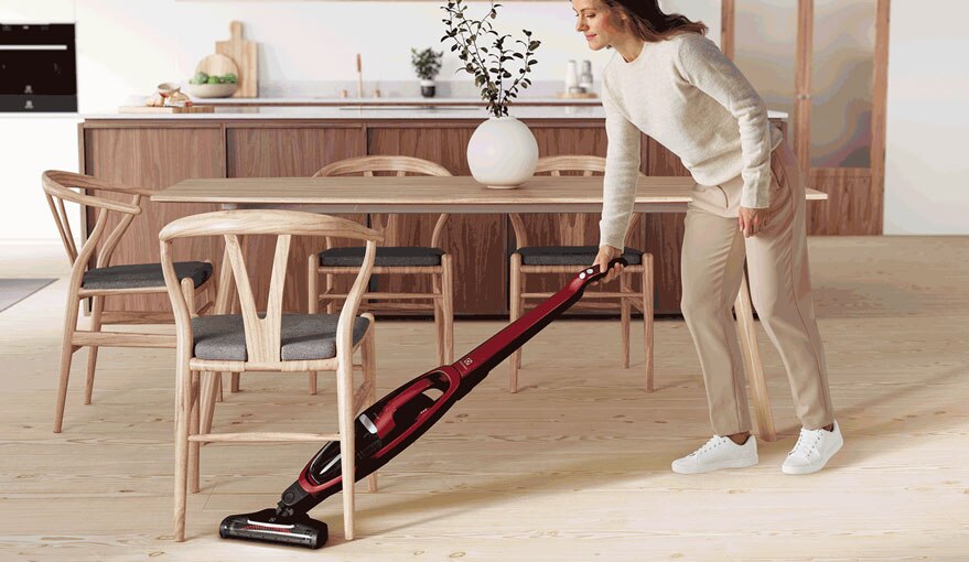 Best vacuum for pet owners