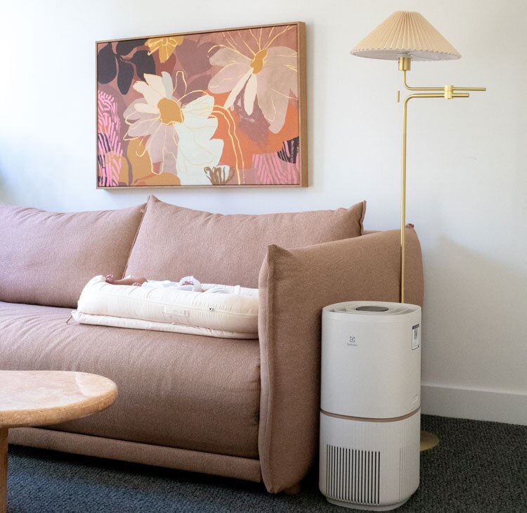 Living room with Electrolux air purifier next to a sofa.